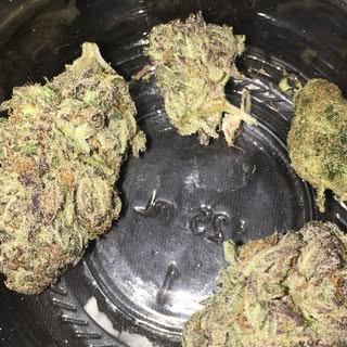 Profile Picture of Shawn Saesee (@ssaesee) on Instagram