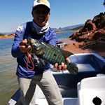 Profile Picture of joel pulido (@joelpulidoink) on Instagram