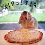 Profile Picture of Chris Scoggins (@sircrispix) on Instagram
