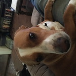 William Marvin - Flickr Profile Picture of William Marvin (@williamcmarvin@ymail.com) on Flickr