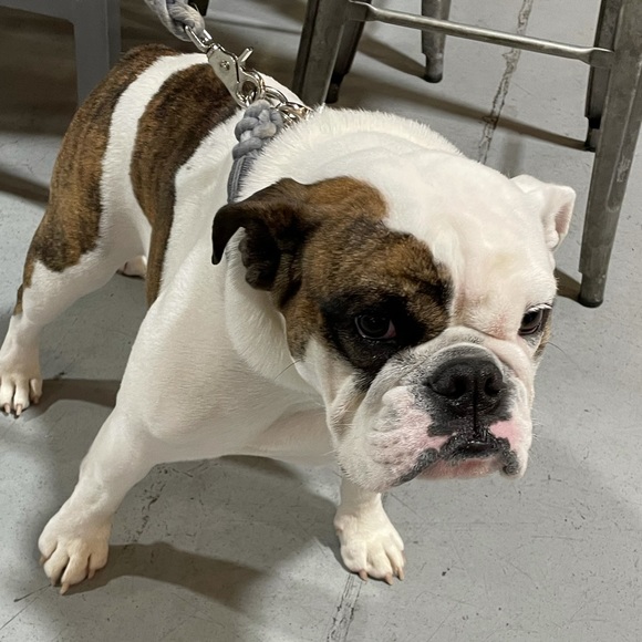 Jon Ebrey - Poshmark Profile Picture of Jon Ebrey (@jre1100) on Poshmark