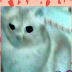 Profile Picture of David Slaymaker (@david.slaymaker.3) on Facebook