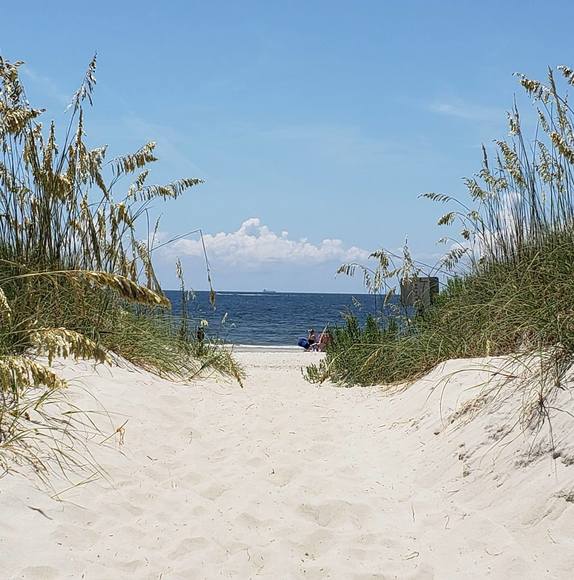 Profile Picture of Lisa Lyerly (@la45lyerly) on Poshmark