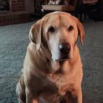 Profile Picture of Randall Hughes (@randall.hughes.438794) on Facebook