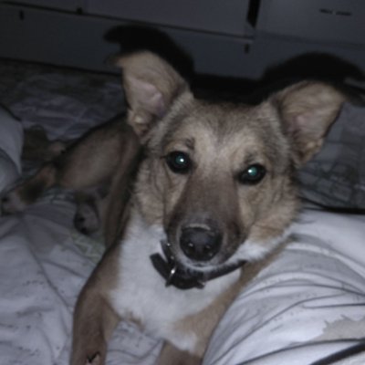 Profile Picture of Paul Cuello González (@PaulCuelloGonz1) on Twitter