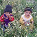 Profile Picture of Muhammad Zaman (@zamanafridi1) on Flickr