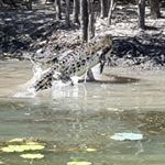 Profile Picture of Michael Newton (@gramps.on.gram) on Instagram