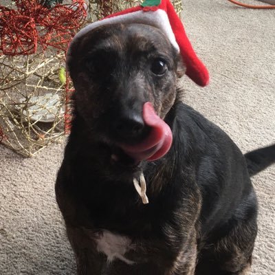 Profile Picture of TINA MOORE (@Sassytrip88) on Twitter