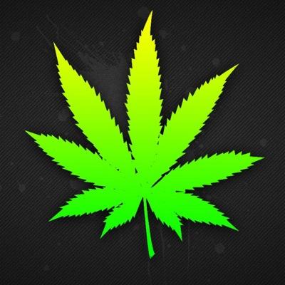 Profile Picture of Julian Förster (@julian_forster) on Twitter