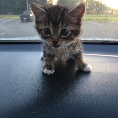 Tina Hullinger - Twitter Profile Picture of Tina Hullinger (@HullingerTina) on Twitter