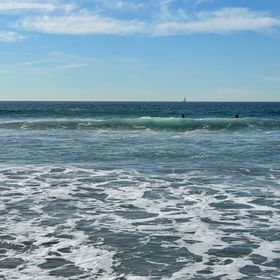 Profile Picture of Alison Weeks (@weeks) on Pinterest