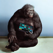 Profile Picture of David Wertz (@davidwertz515) on Youtube