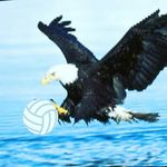 Profile Picture of Örnsköldsvik spikeball team⚽ (@ornspike) on Instagram