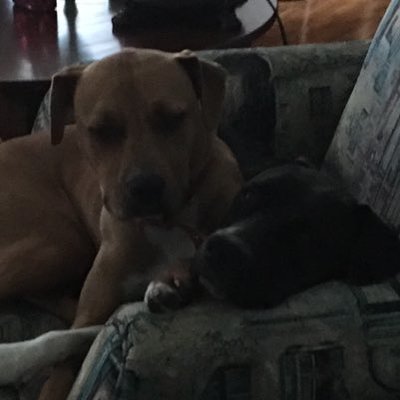 Profile Picture of Joshua Balos (@JoshuaBalos) on Twitter