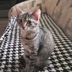 Profile Picture of David Jelínek (@David-Jelínek) on Facebook