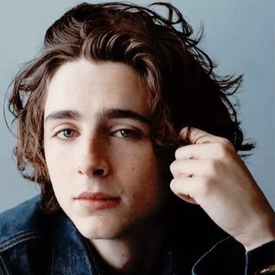 Profile Picture of @ellio.kyle.nic.laurie_chalamet (@EllioLaurie) on Twitter