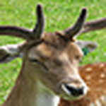 Profile Picture of Raymond Davis (@rayadavis1) on Flickr