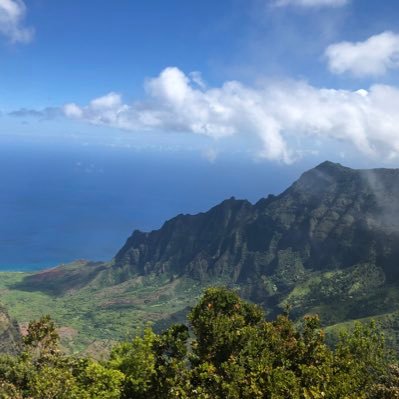 Profile Picture of Sean Chun (@sschun) on Twitter