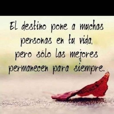 PatrickAngel - Twitter Profile Picture of PatrickAngel (@PatrickAngel11) on Twitter