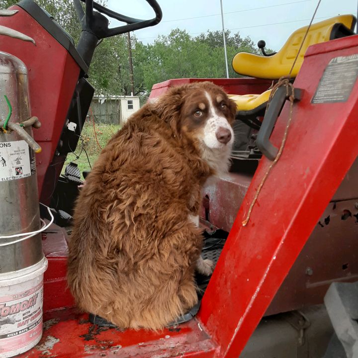 Profile Picture of James Stark (@jamesstark17) on Tiktok