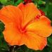 Profile Picture of Barton Keyes (@barton.keyes.718) on Facebook