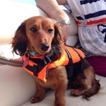 Profile Picture of Julie Loftus (@lofty1968) on Instagram