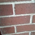 Profile Picture of Anthony fields (@anthonyfields1804) on Instagram