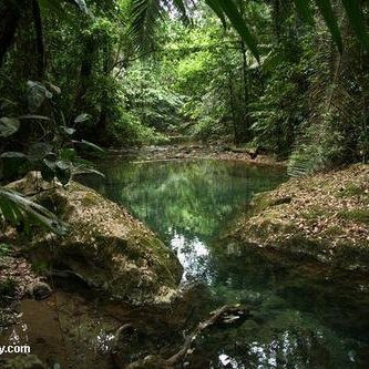 Profile Picture of JoseLuisJalomo (@JoseLuisJalomo) on Twitter