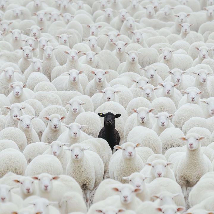 Profile Picture of Jordyn👍🏿💙 (@@jordynwilliams__) on Tiktok