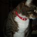 Profile Picture of Marilyn Post (Weseman) (@marilyn.post.3) on Facebook