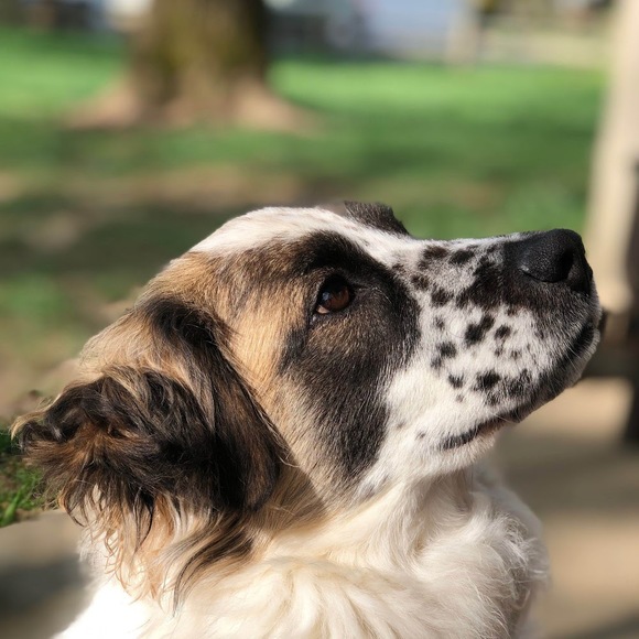 Profile Picture of Alexander Rubin (@28arubin) on Poshmark