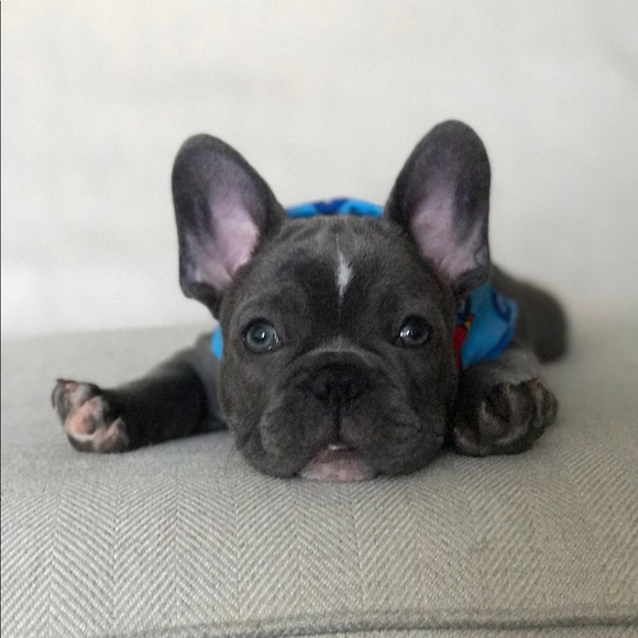 Jeaneane Donahoo - Poshmark Profile Picture of Jeaneane Donahoo (@jdonahoos) on Poshmark