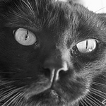 Profile Picture of Jose  Ruiz (@J_Ruiz_M) on Flickr