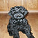 Profile Picture of Da Nush (@da nush) on Flickr