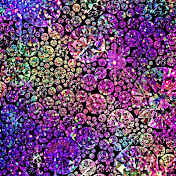 Profile Picture of Kim Reese (@KimReese-h7k) on Youtube