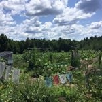 Profile Picture of Nicole & Eric (@sevengenerationsfarm) on Instagram