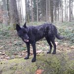 Profile Picture of Lea (@lea.baumberger) on Instagram