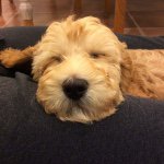 Profile Picture of Andrew Seltzer (@alka_seltzer71) on Instagram