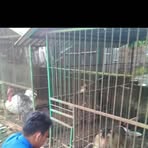 Profile Picture of Drs Jhon Harif (@john.harif) on Facebook