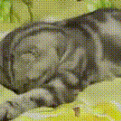 Profile Picture of Charles Napierala (@ManlyGranny) on Twitter