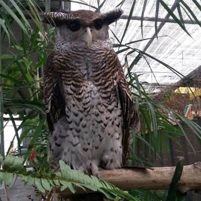 Profile Picture of Abdullah Karim (@abdullahkarim69) on Twitter