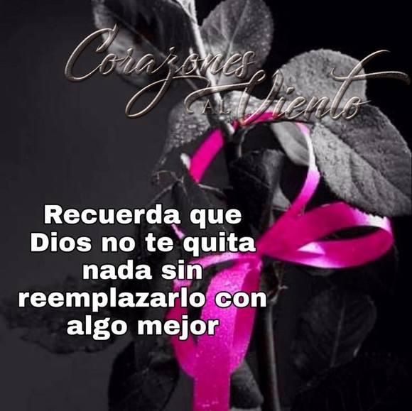 Profile Picture of Rocio Ochoa (@santoyo31) on Poshmark