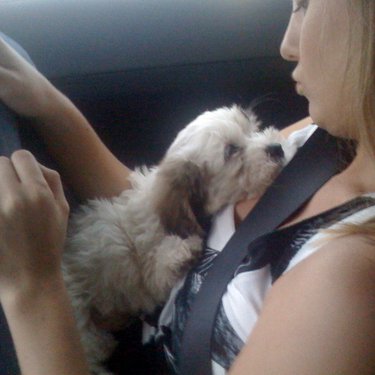 Profile Picture of Pam Hunter (@pamhunter523) on Twitter