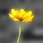 Profile Picture of Ismail Adam (@adamflickmail) on Flickr