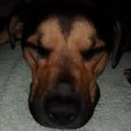 Profile Picture of Richard Forcucci (@richard.forcucci.165) on Facebook