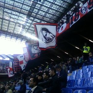 Profile Picture of Al John Tummy (@alf_tumminello) on Twitter