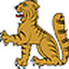 Profile Picture of Wildcat  (@Wildcat ) on Flickr