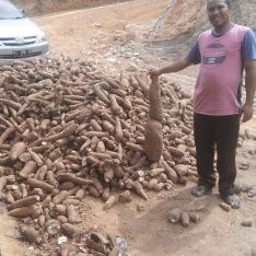 Profile Picture of Ahmad Mubarak (@aqeela19) on Twitter