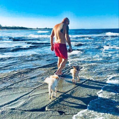 Profile Picture of Joe Miskovic (@MiskovicJoe) on Twitter