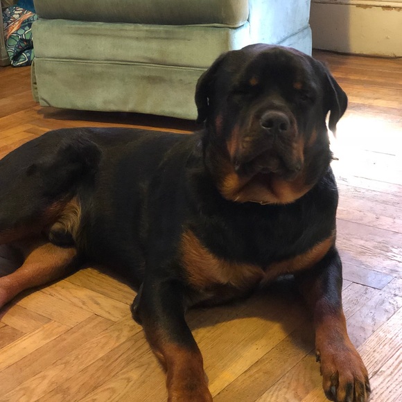 Heilyn Ovares - Poshmark Profile Picture of Heilyn Ovares (@ovs978) on Poshmark